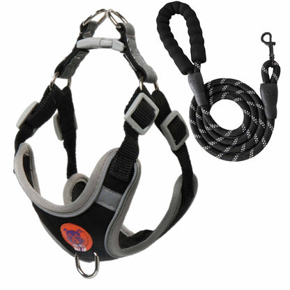 Adjustable Reflective Dog Harness and Leash Set